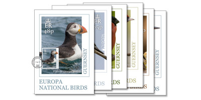 Maxi Europa Birds Postcards Set of 6